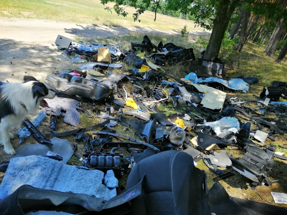 Pozostałości kradzionych aut w podwarszawskich lasach