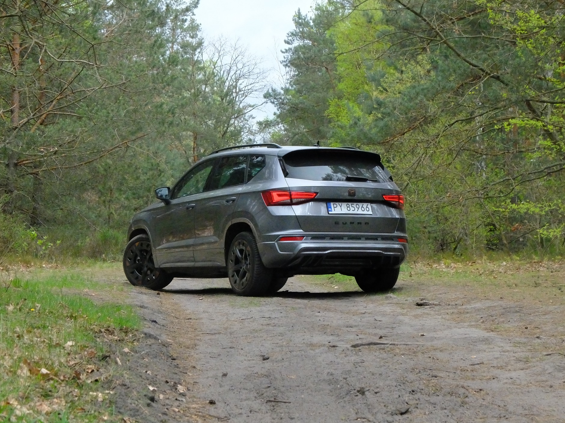 Cupra Ateca 2.0 TSI/190 KM 4x4