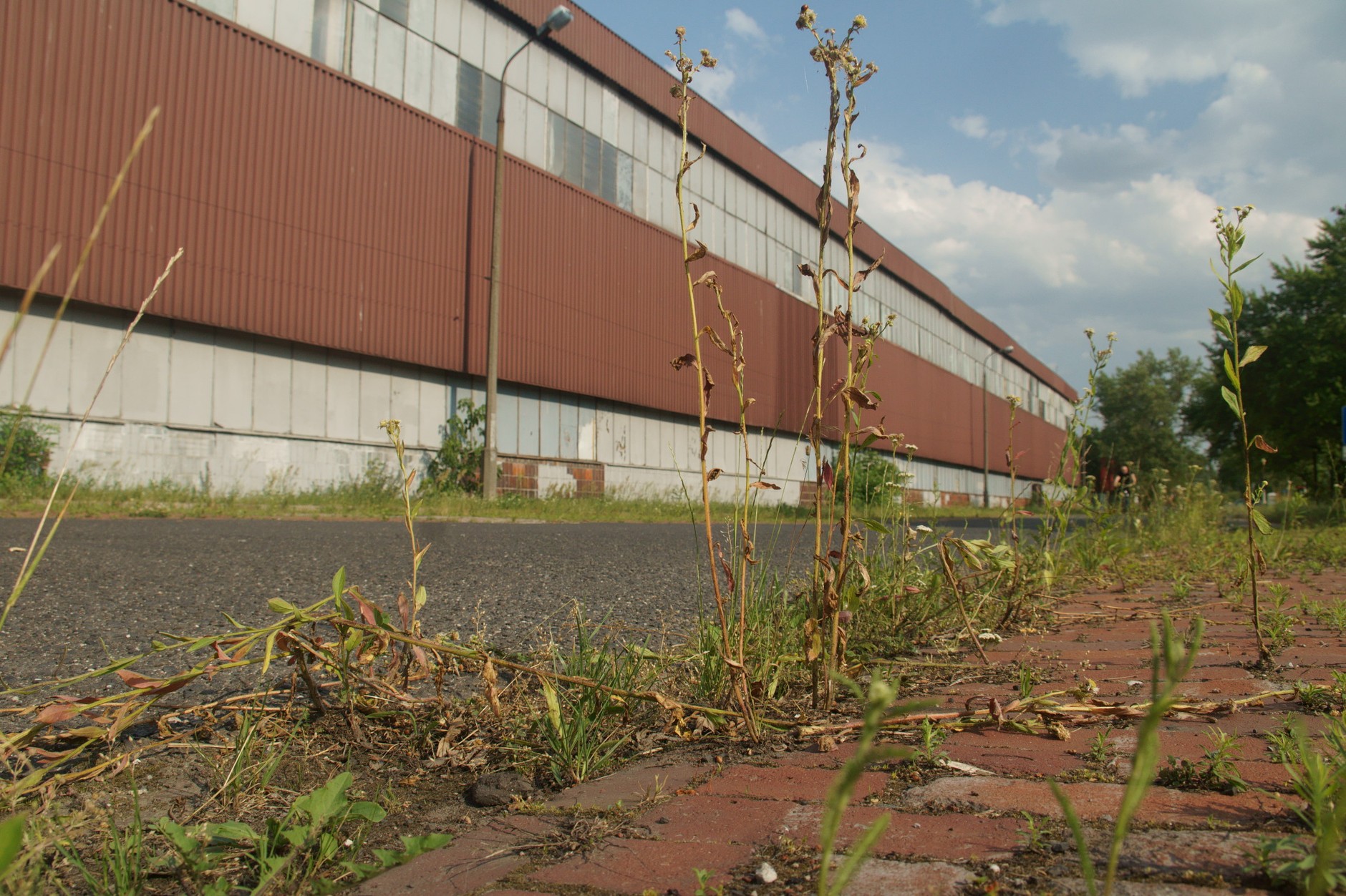 Ogrodzenie dawnych zakładów FSO w Warszawie
