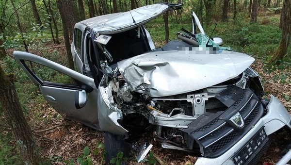 Tak wygląda auto osobowe po zderzeniu z łosiem. Uważaj szczególnie teraz