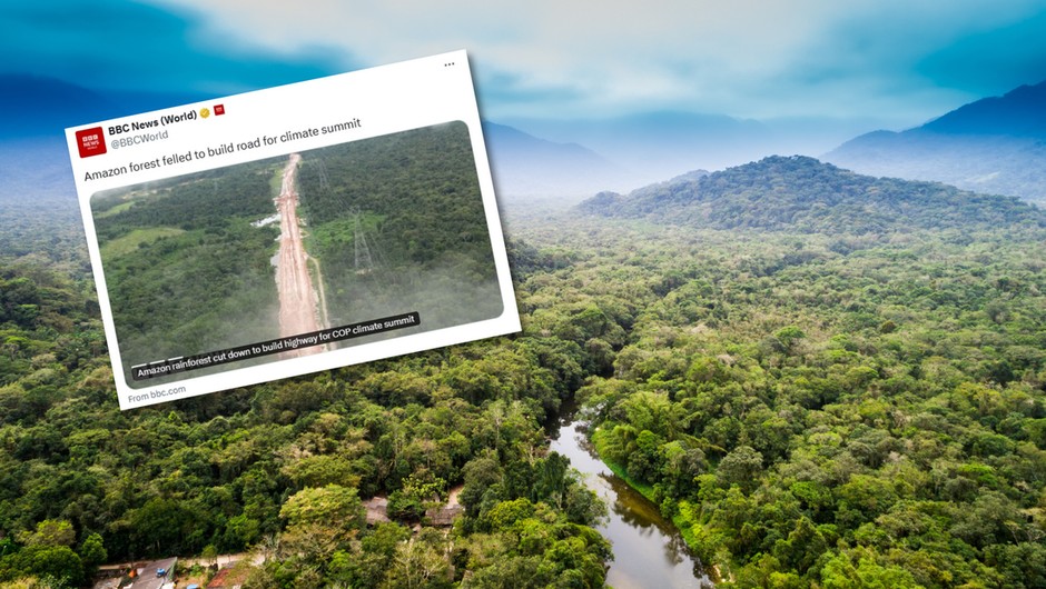 Amazonia - las deszczowy Zniszczenia