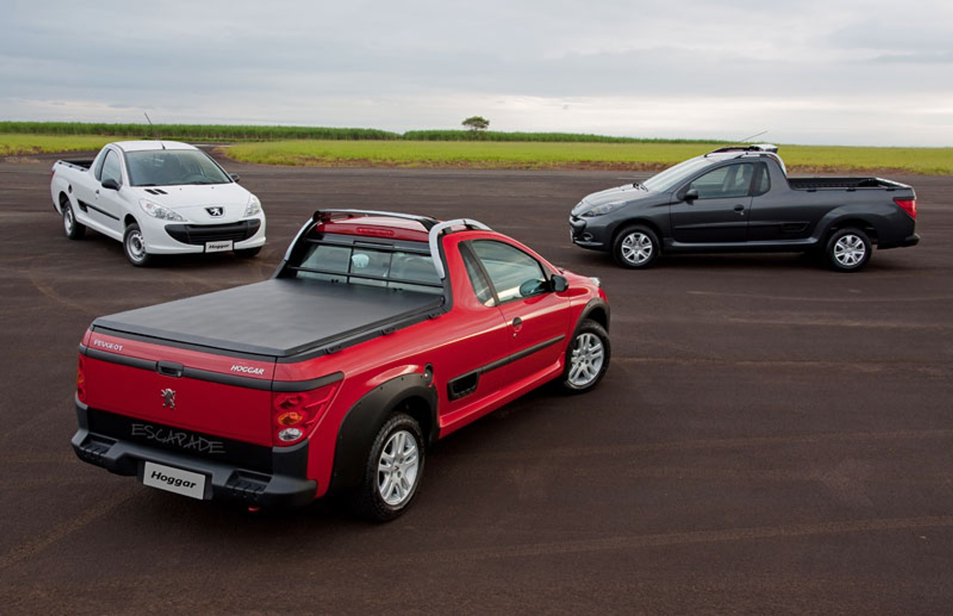 Peugeot 207 Compact robi karierę