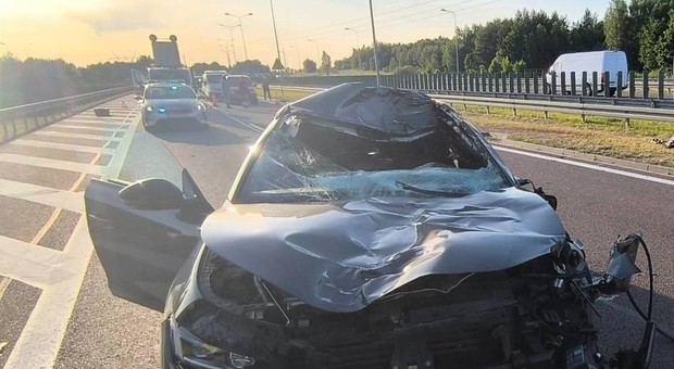 To nie był crash-test. Po zderzeniu z łosiem auto nadaje się do kasacji