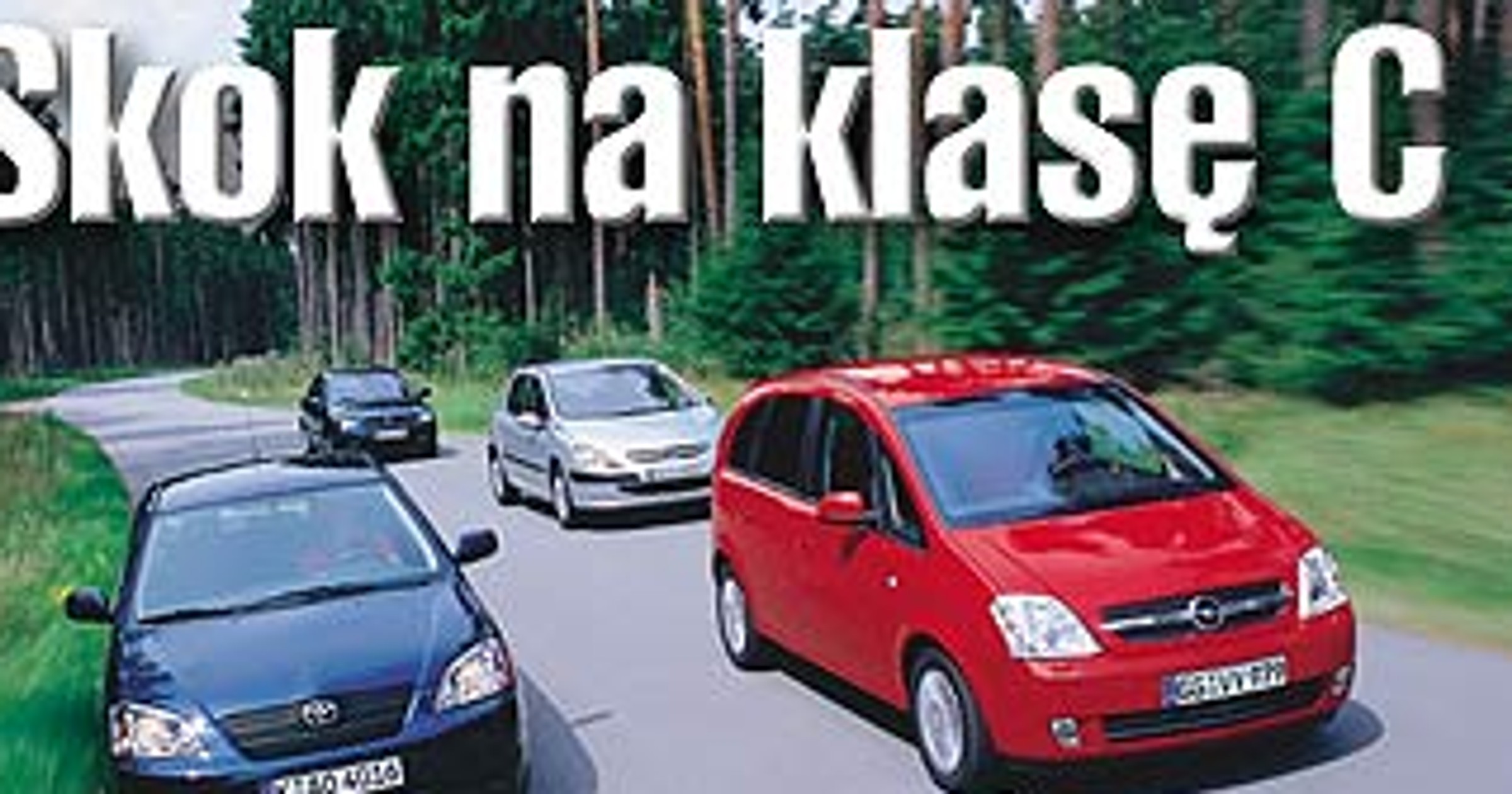 Typ nieszablonowy