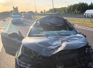 To nie był crash-test. Po zderzeniu z łosiem auto nadaje się do kasacji