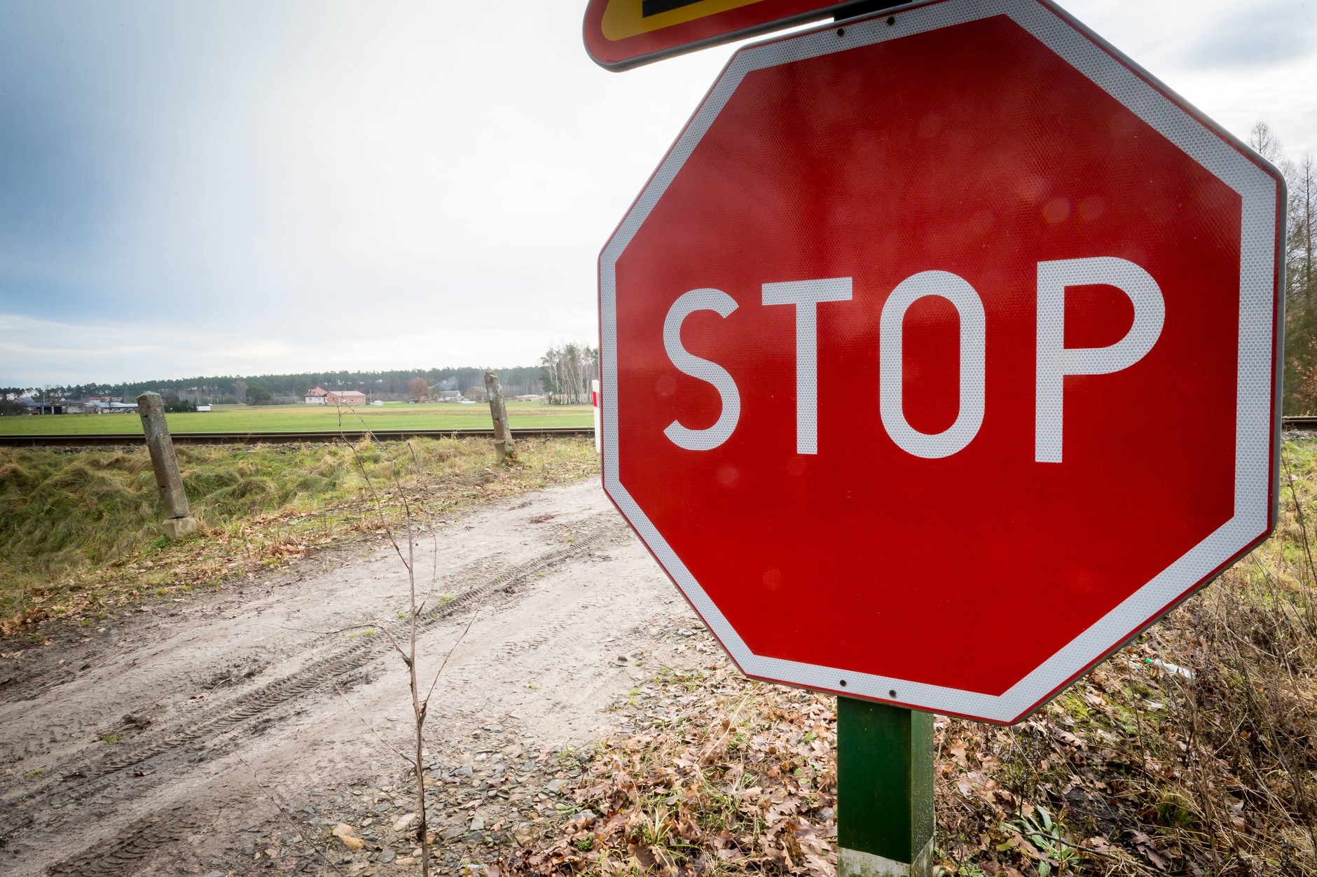 Za zignorowanie znaku STOP grozi osiem punktów karnych i 300 zł mandatu