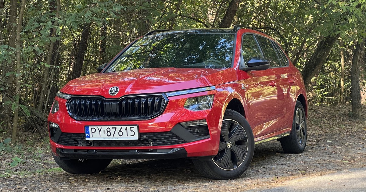 Skoda Kamiq