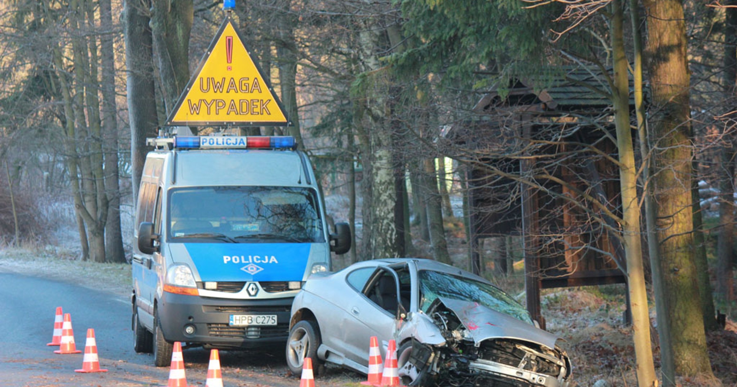 Wypadki z udziałem dzikich zwierząt - Zwierzę na drodze? Nie warto omijać!