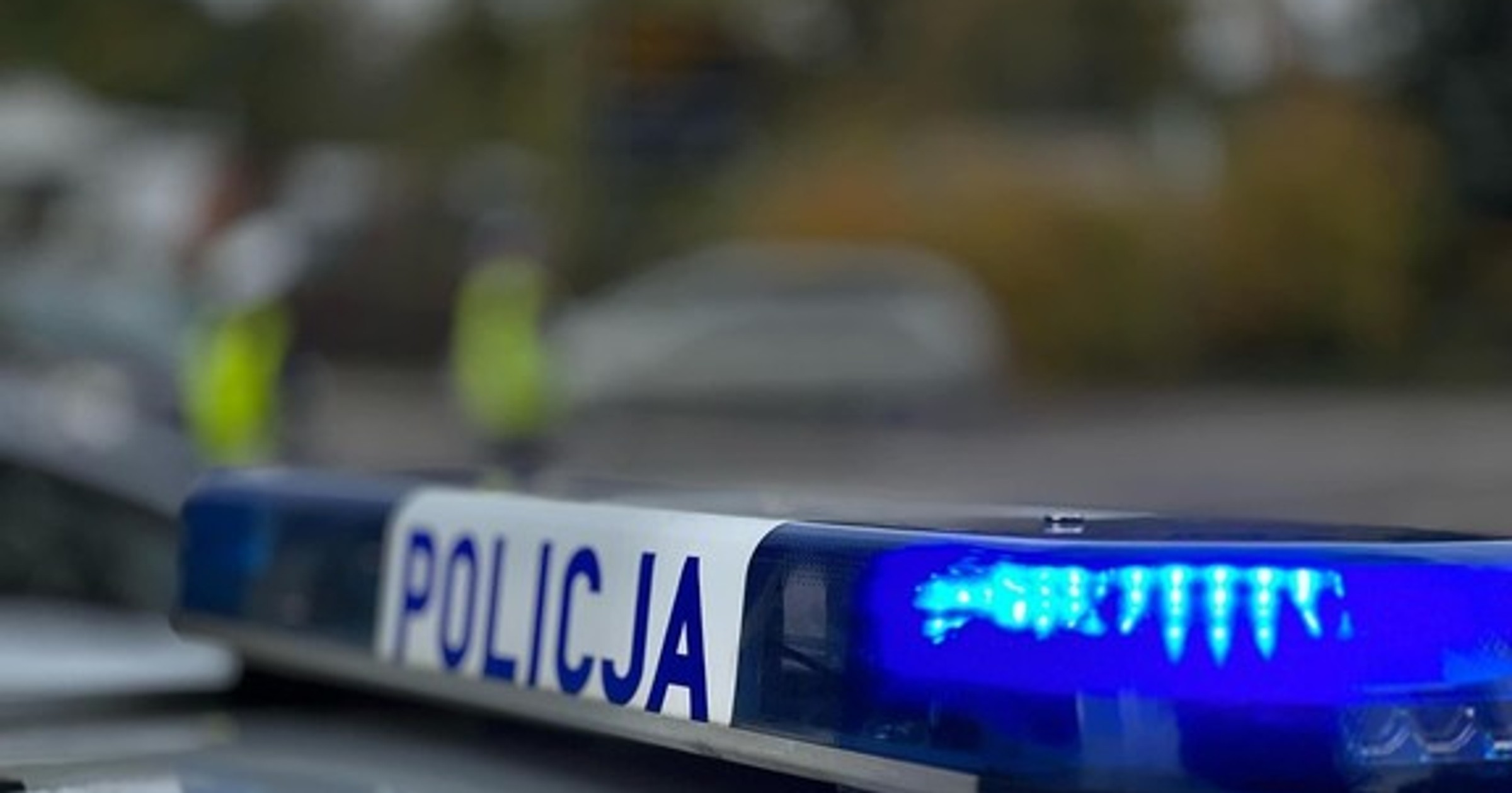 Źródło: podkarpacka.policja.gov.pl/policja.pl