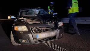 Na ekspresówce znalazł się pieszy. Kierowca Volvo nie zdążył wyhamować