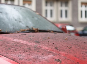 Brudny samochód? Dostaniesz mandat!