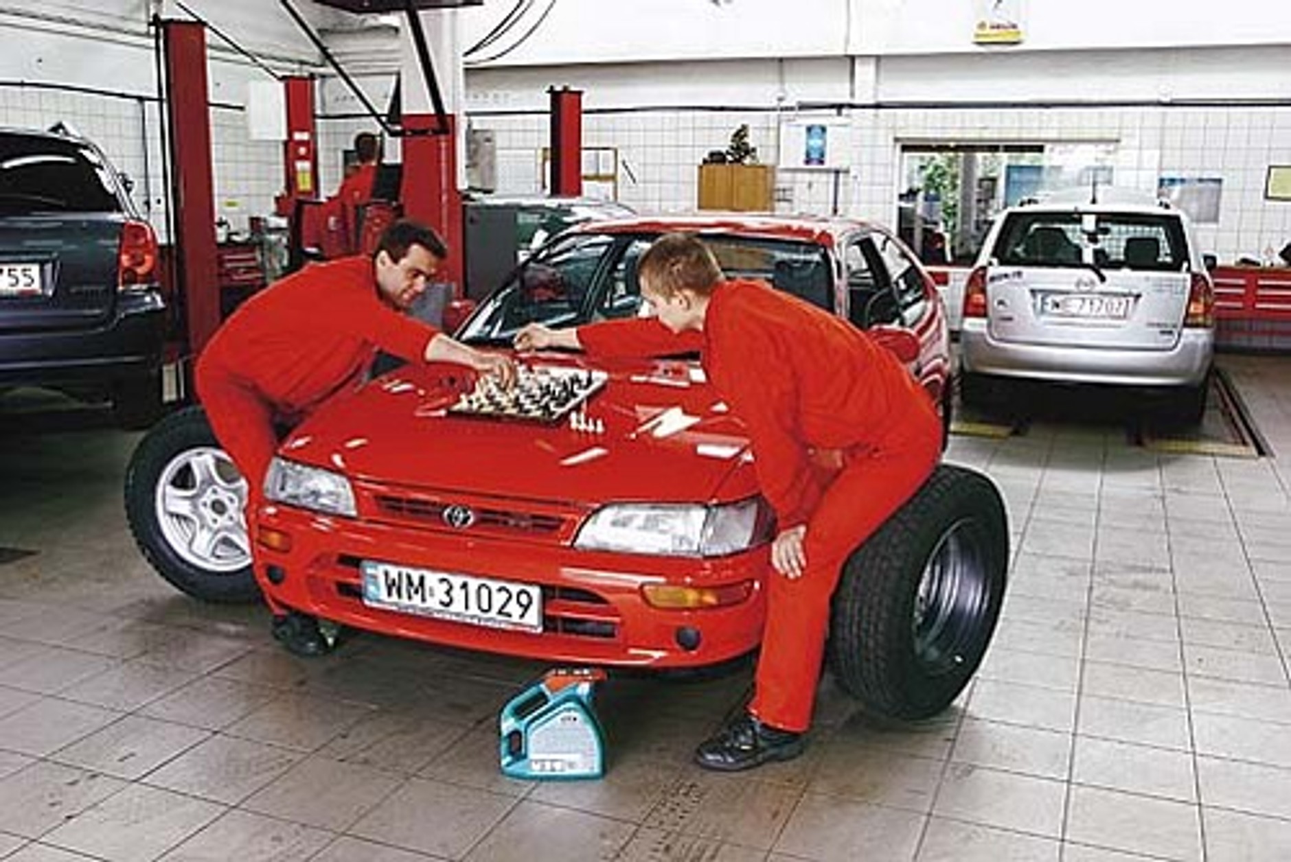 Corolka dla wybrednych