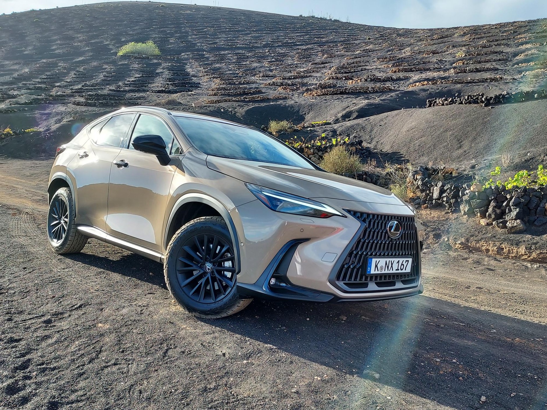 Lexus NX Overtrail