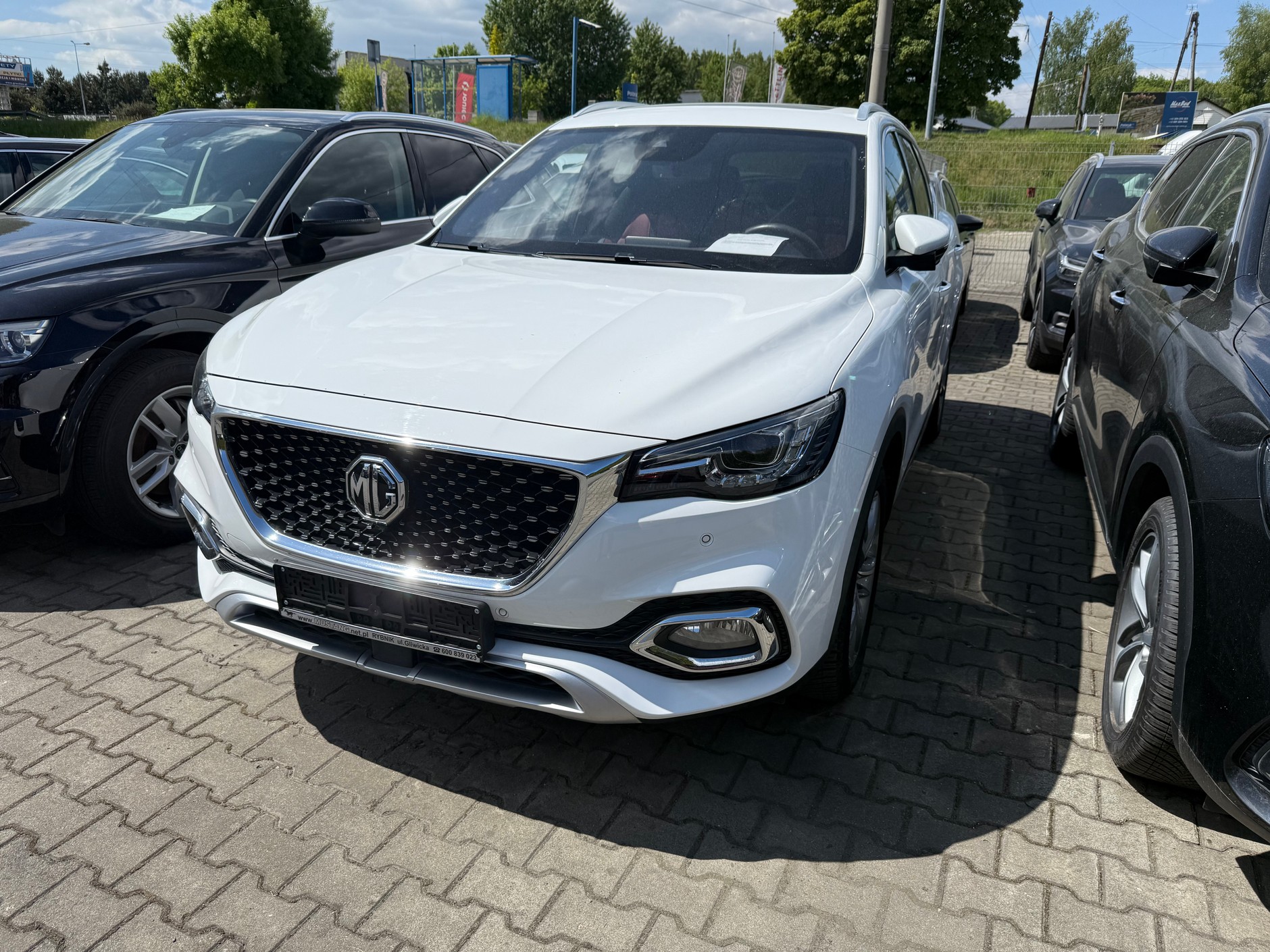 MG EHS z ogłoszenia