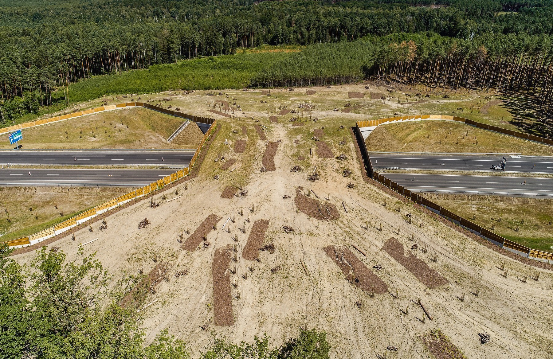 Autostrada A18 - duże przejście dla zwierząt
