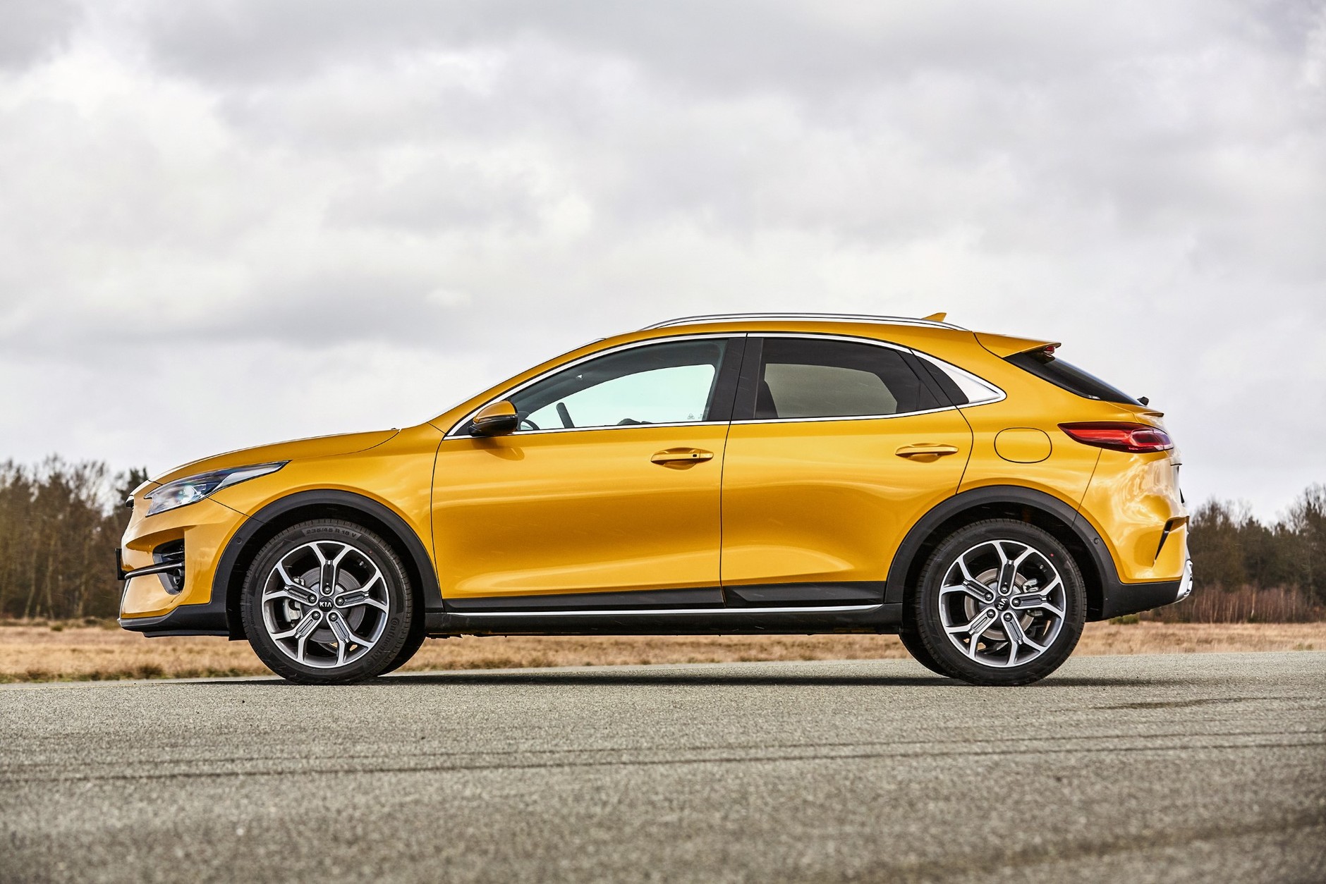 Nowy Citroen C4 kontra Kia XCeed - kompakty czy jednak SUV-y?