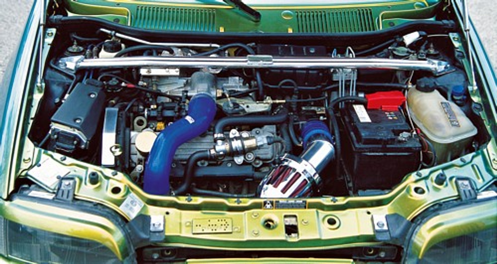 Błyszczący skarabeusz