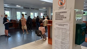 Do kiedy kierowcy mają czas na złożenie wniosku? Podali datę. Obowiązek dotyczy 15 mln osób