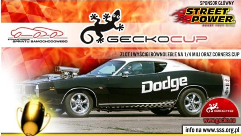 SSS Kamień Śląski