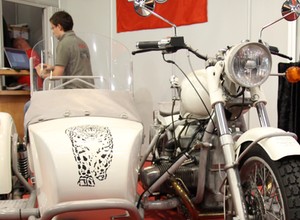 Ural Schneeleopard