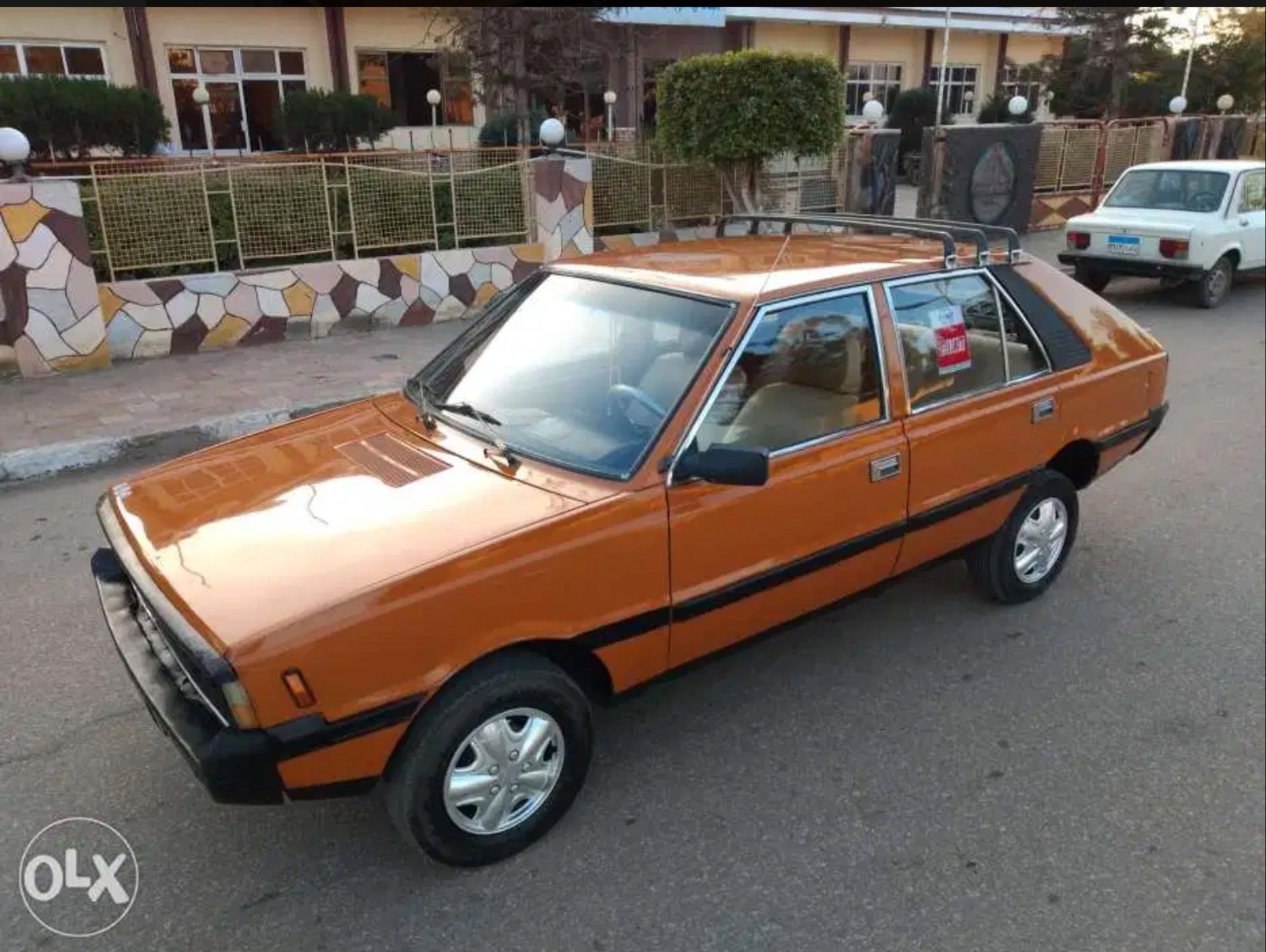 Polonezy z egipskich ogłoszeń