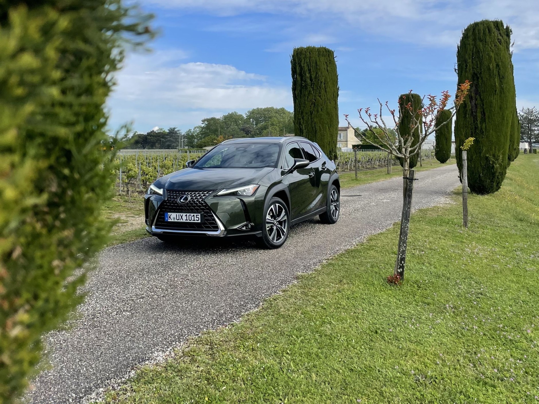 Lexus UX 300h