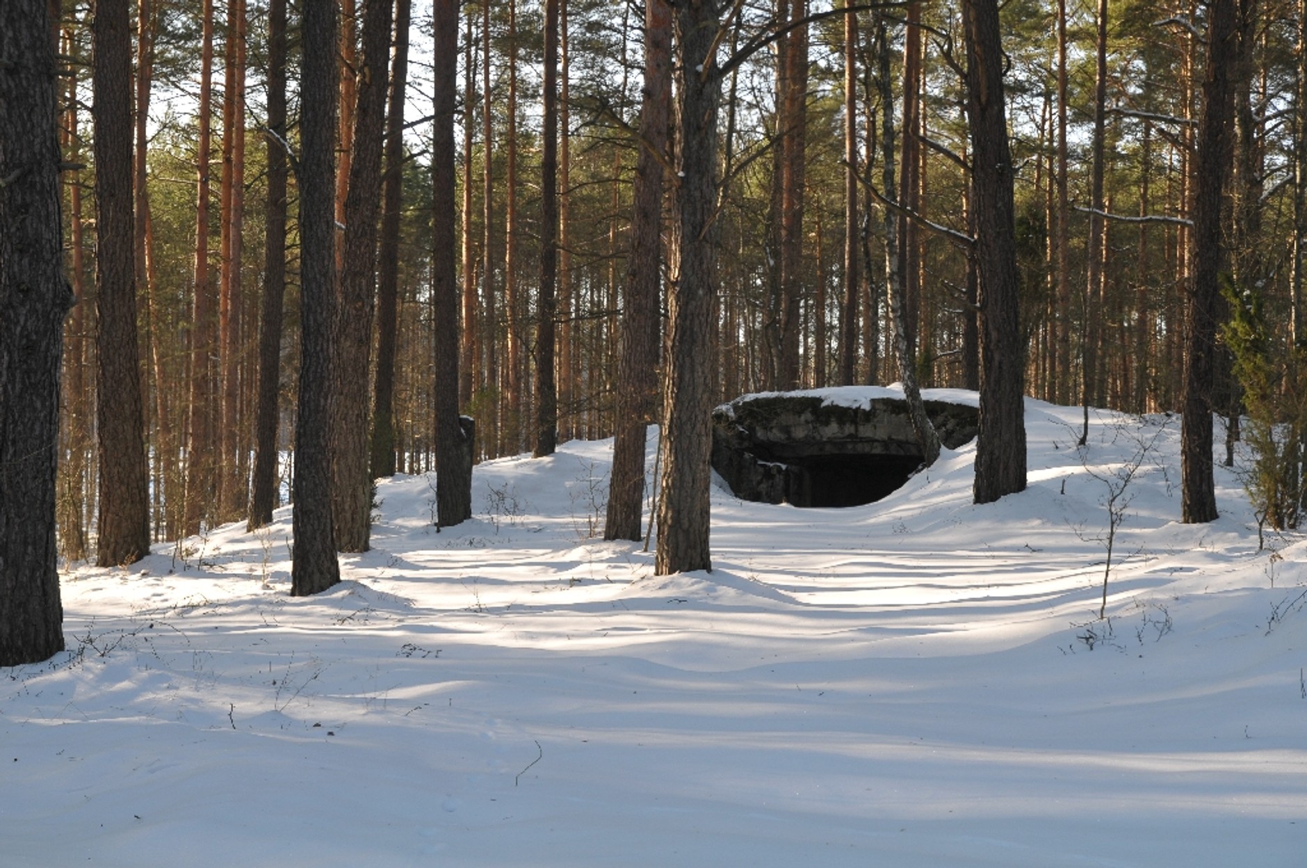 Terenowe zwiedzanie Polski