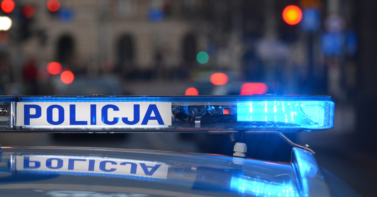 policja