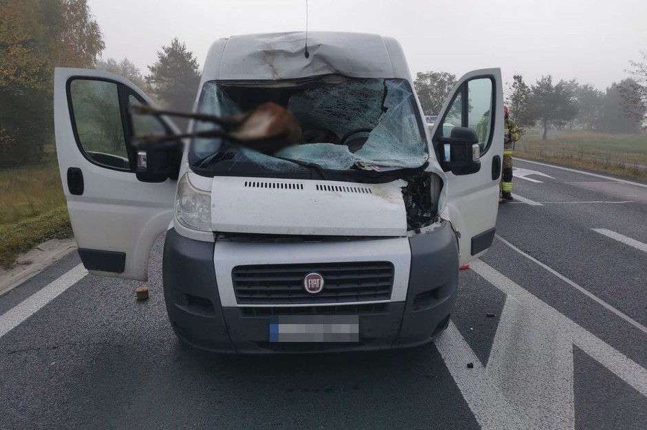 Źródło: lubartow.policja.gov.pl/policja.pl