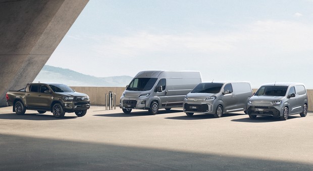Toyota Professional zaliczyła rekordowy rok w Polsce. Wzrost większy niż w segmencie