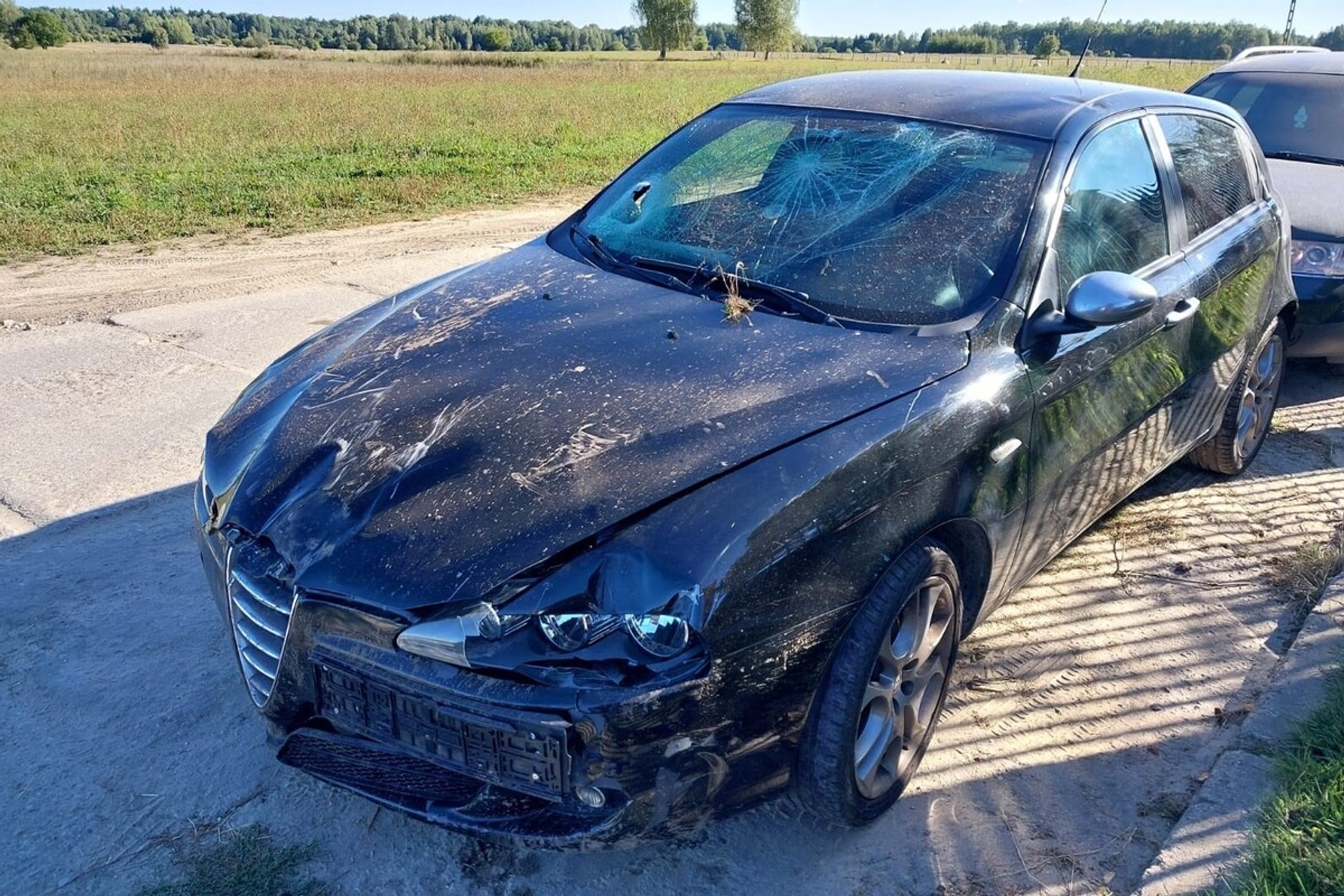 Alfa Romeo 147 ukraińskiego "kuriera", który wiózł dwóch Syryjczyków