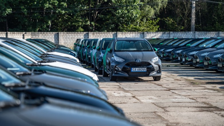 Nowe samochody na placu dilerskim Toyoty