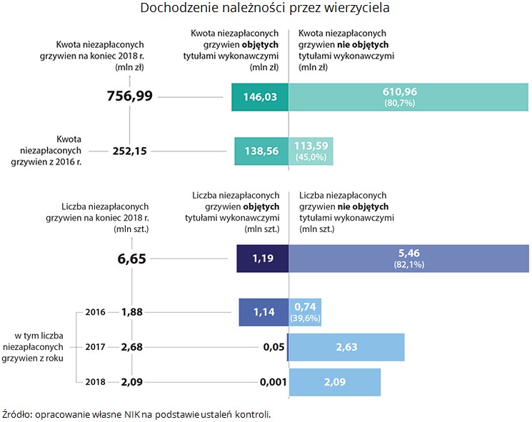 Raport NIK - mandaty dla kierowców w Polsce