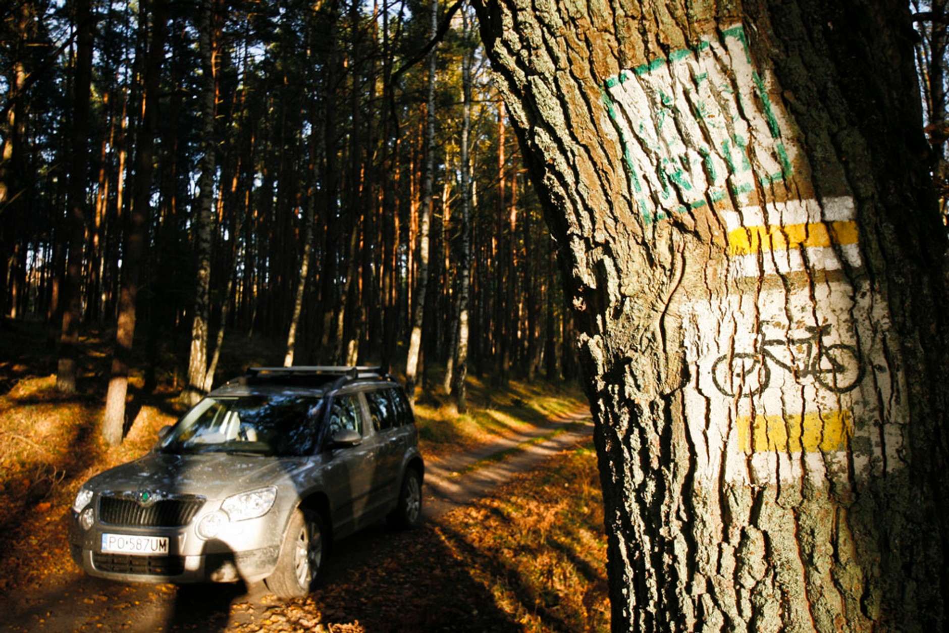 Skodą Yeti i rowerem wzdłuż wybrzeża