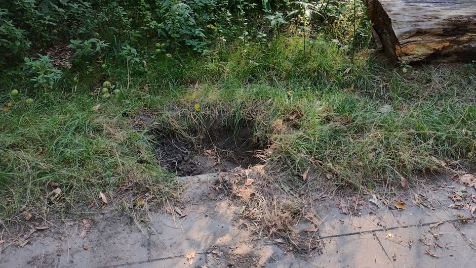 Warszawa. Zarząd Dróg Miejskich przyznał, że skradziono parkomat