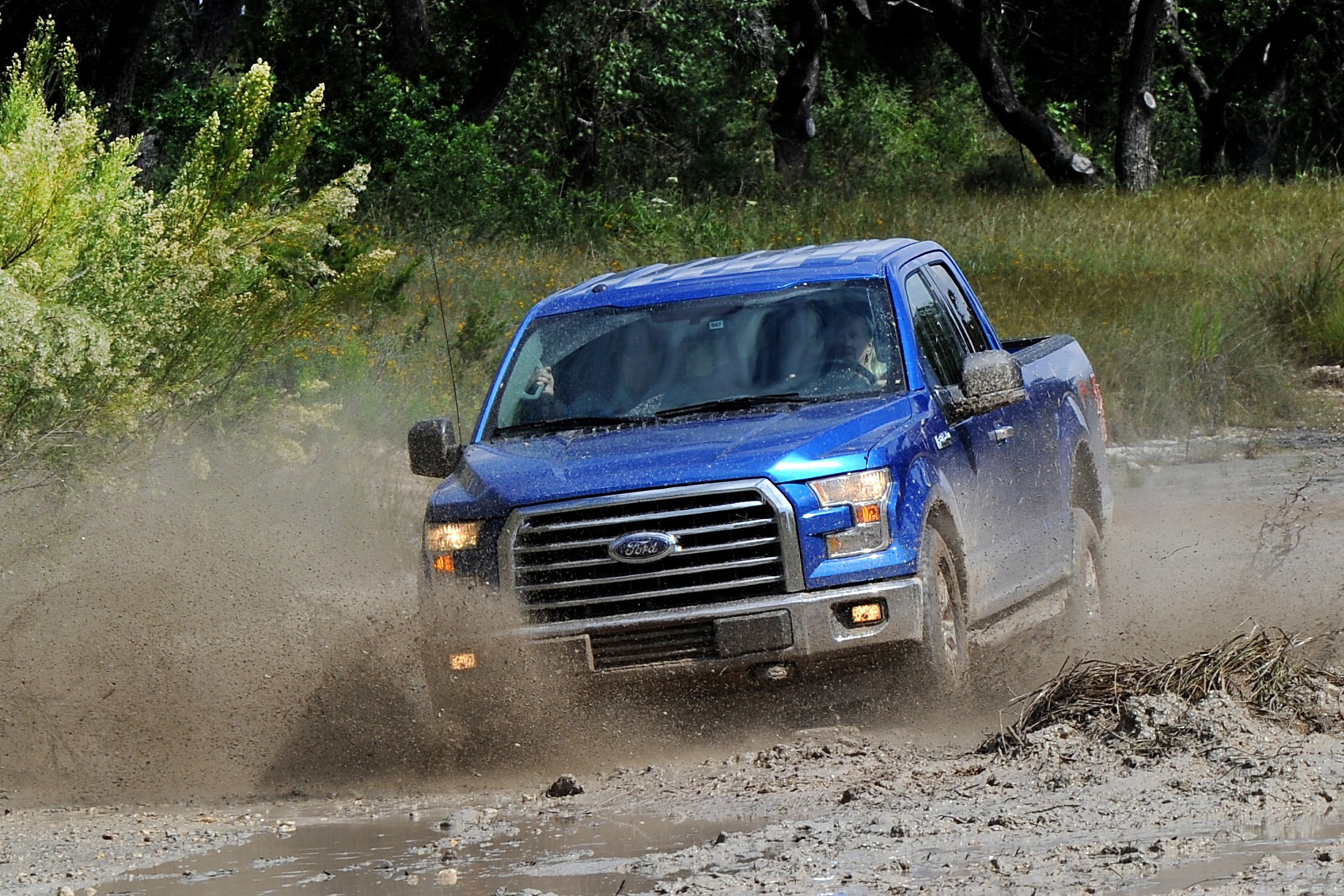 Ford F-150: Pitbull z Ameryki