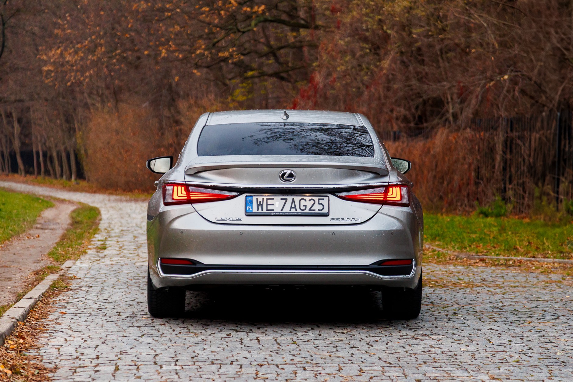 2024 Lexus ES300h