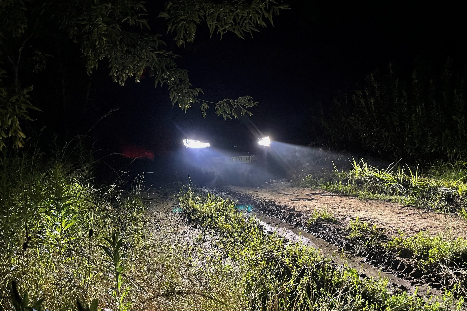 Przejedzie? Może gdyby nie interwencja asystenta...