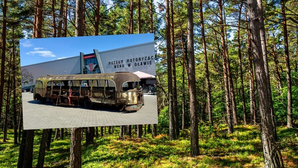 Sensacyjne odkrycie w lesie. Polski autobus Bałtyk odnaleziony po 60 latach