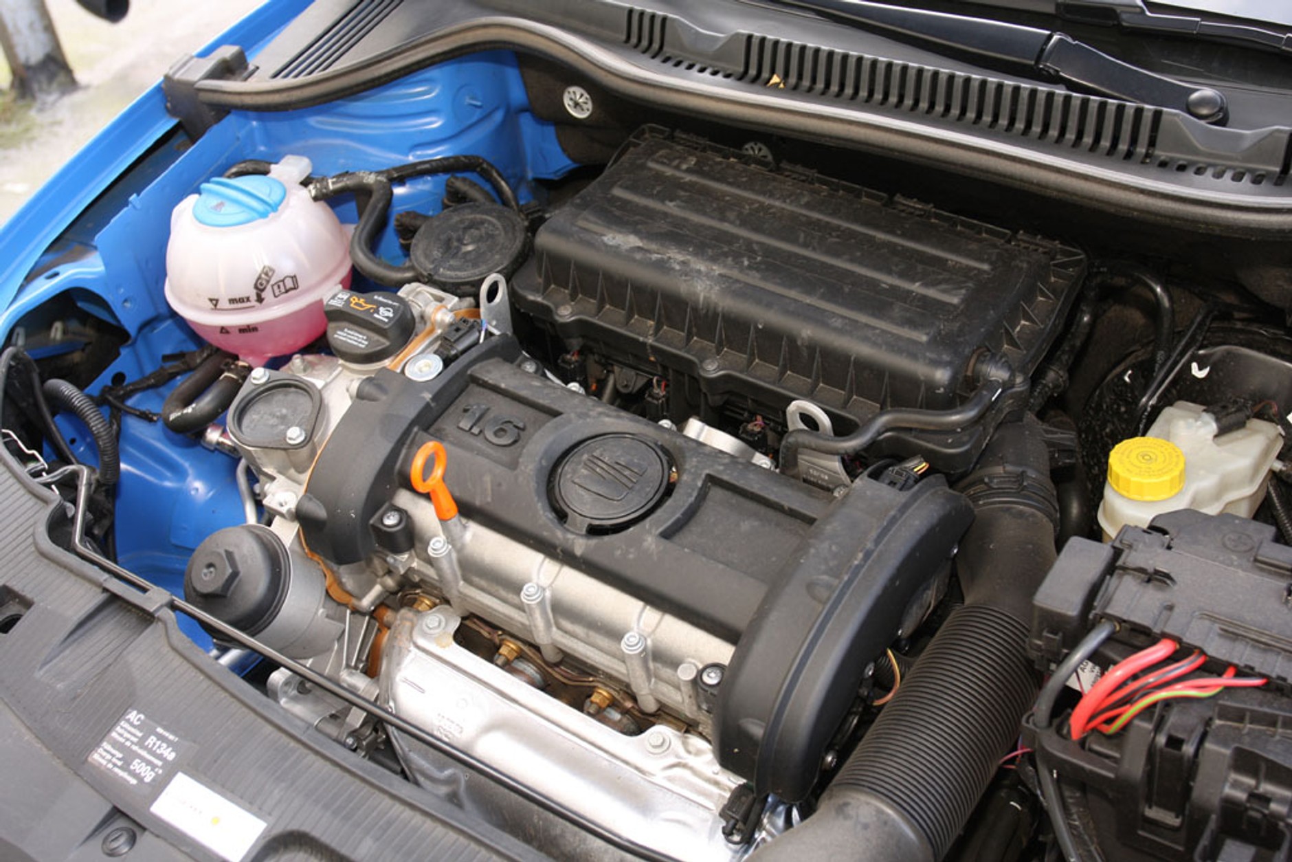 Seat Ibiza SC 1.6 Sport: Kolorystyczna zagrywka Seata