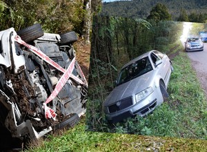 Skoda w rowie, mężczyzna w aucie. Wszystko zwęszył Polon