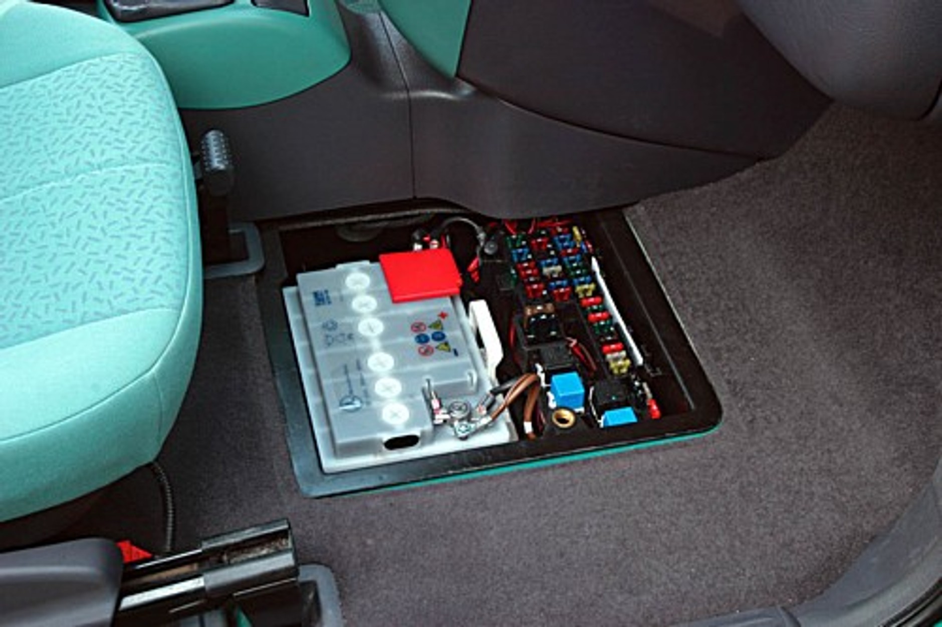 Maluch, za to z gwiazdą