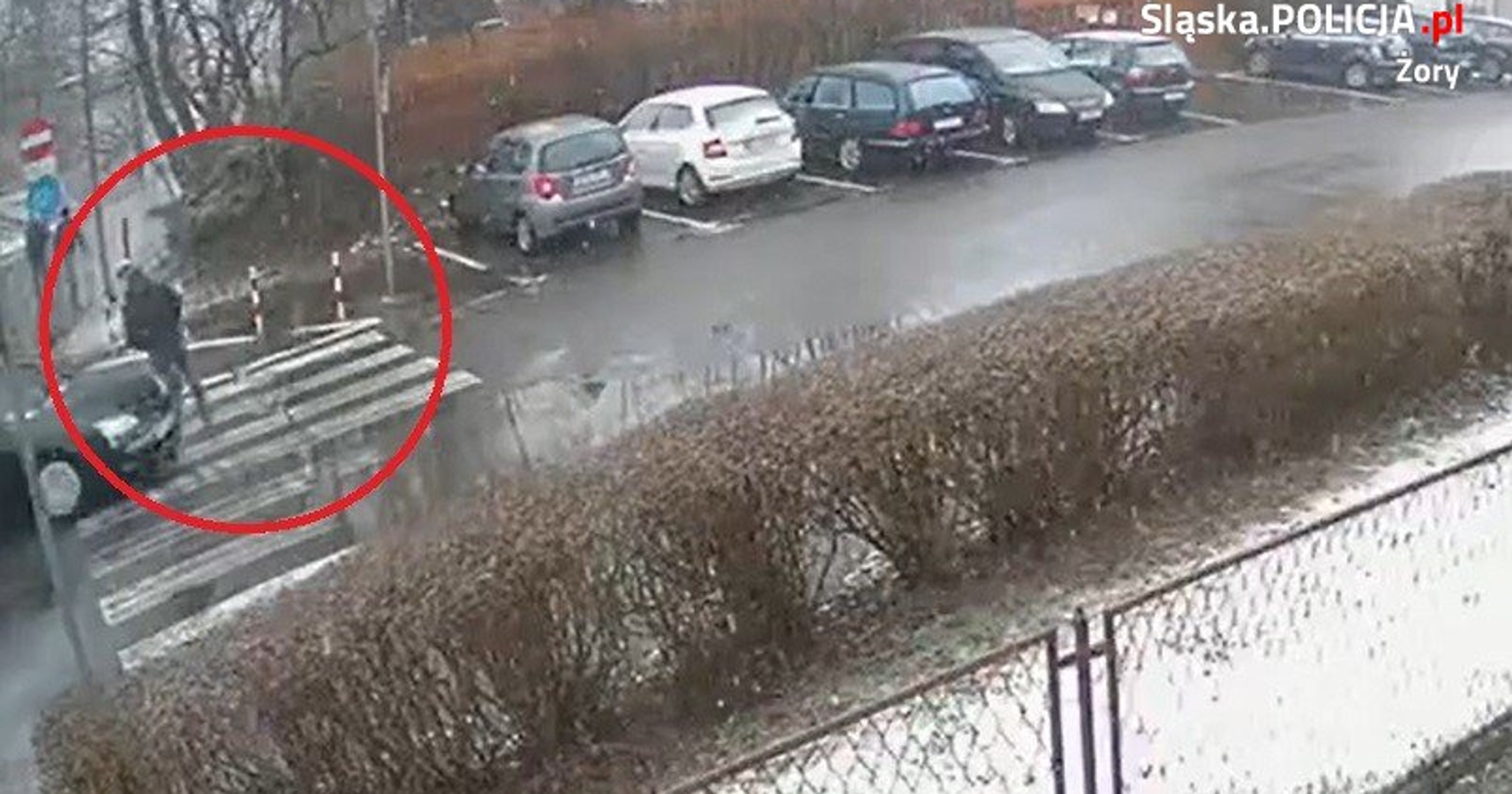 Potrącenie pieszego na oznakowanym przejściu dla pieszych