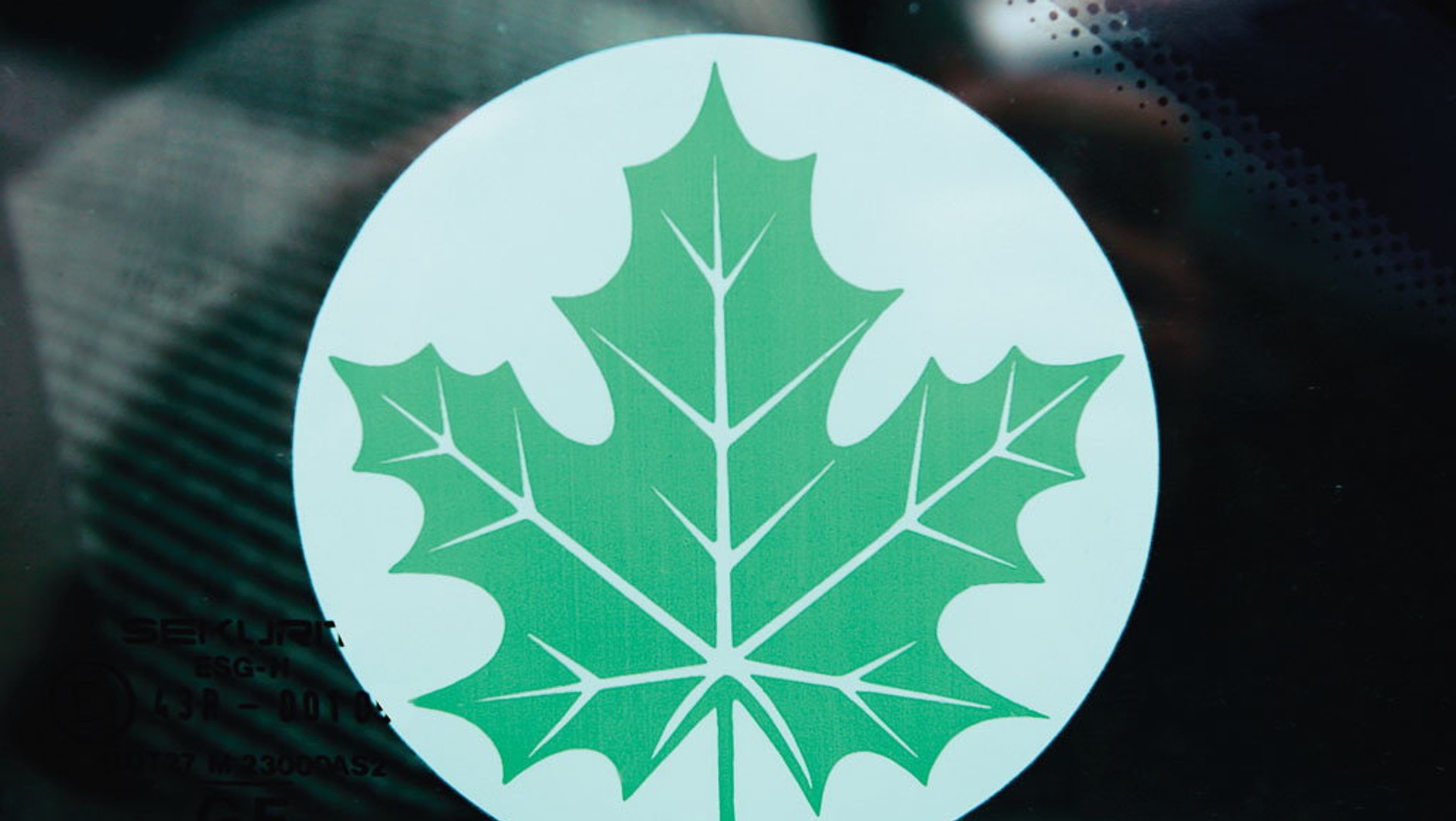 Zielony listek