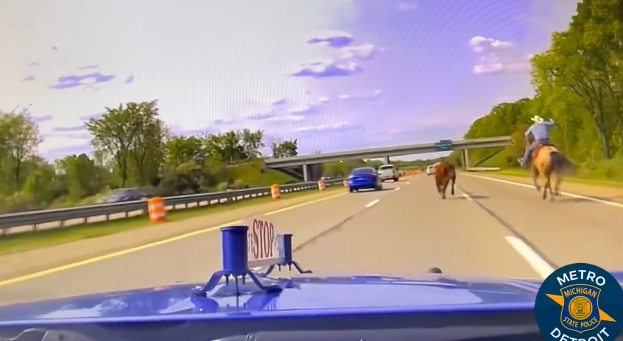 Prawdziwy kowboj pędził po amerykańskiej autostradzie. Powód był poważny [WIDEO]