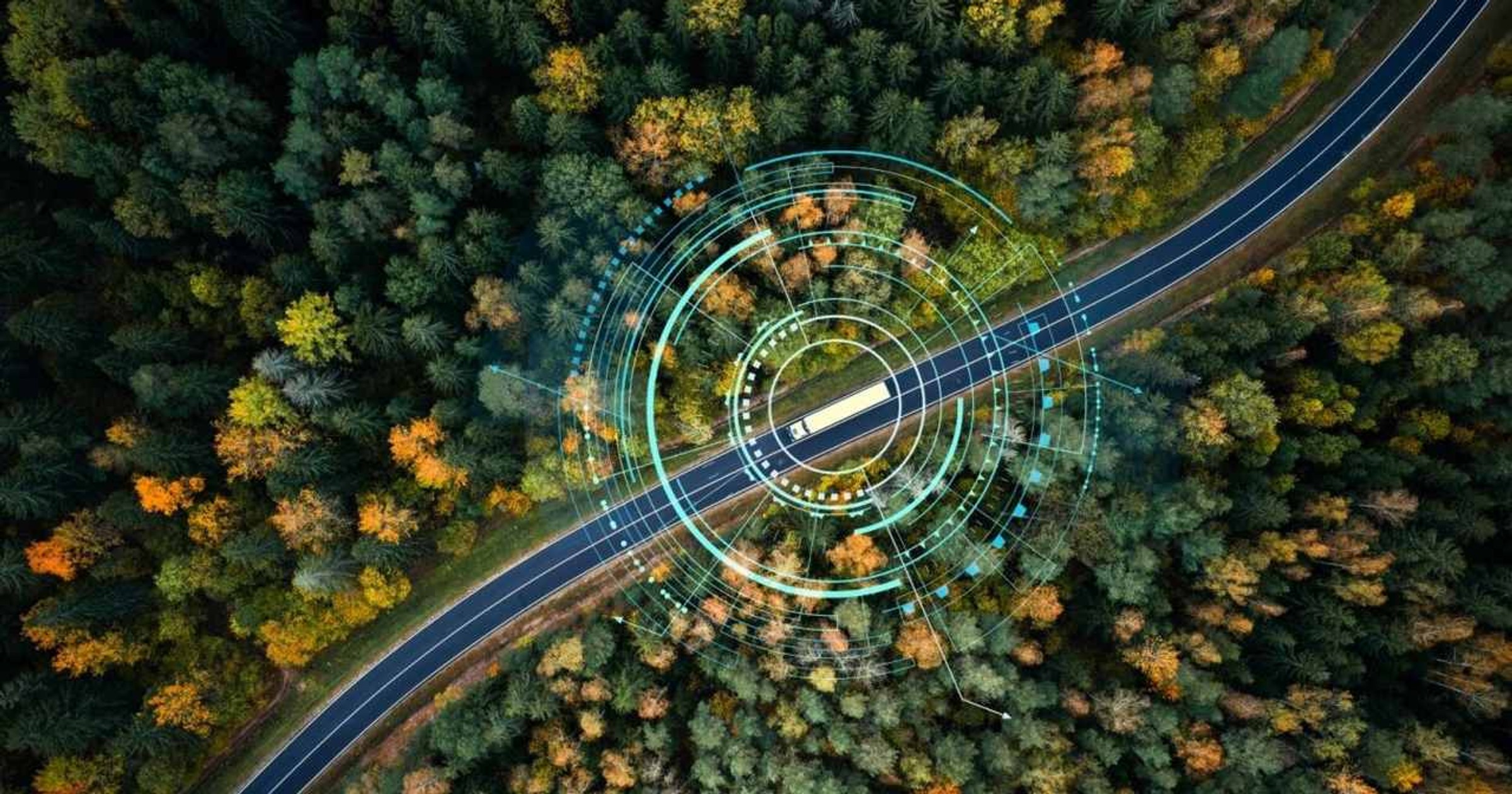 Webfleet (1)
