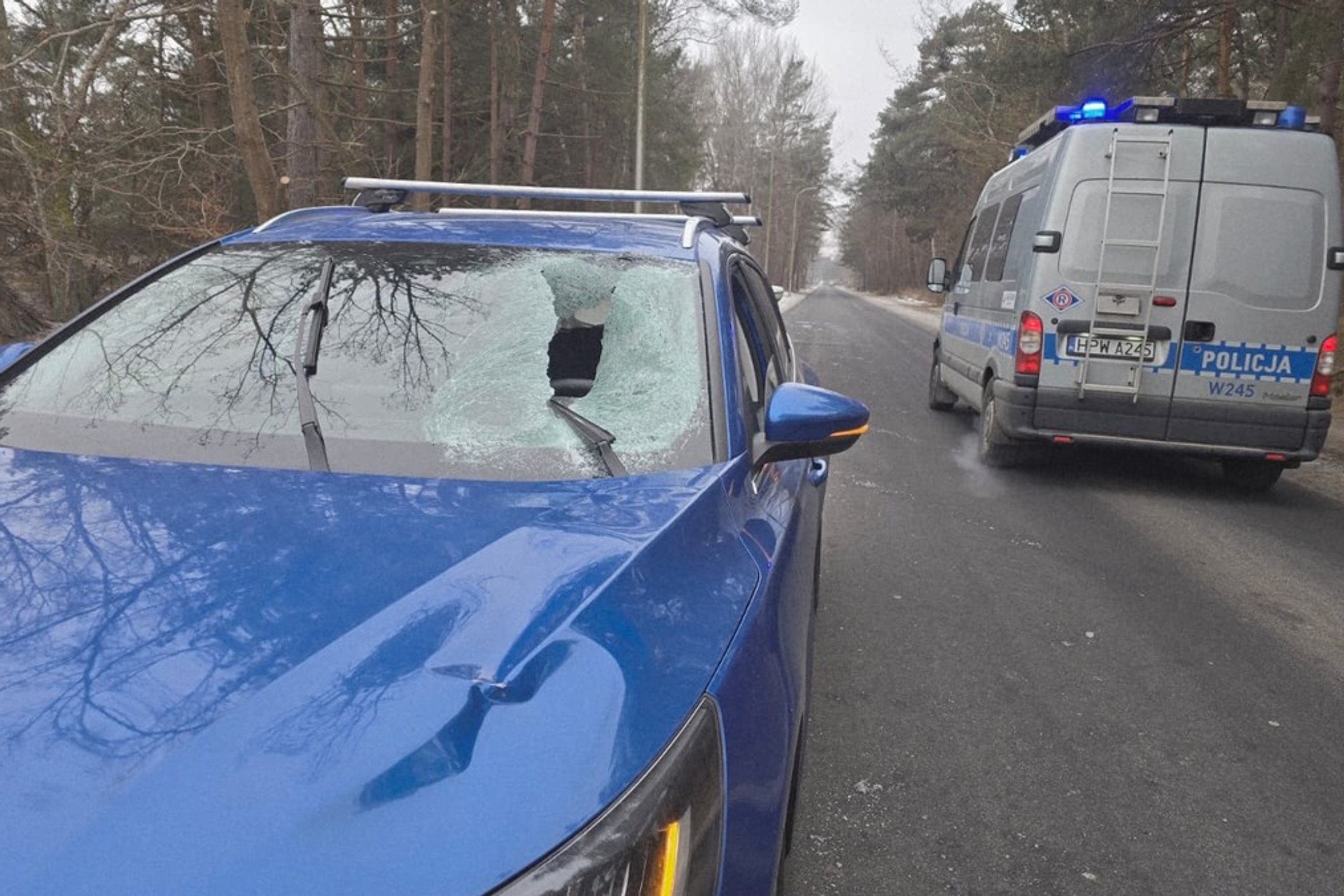 Czy kawałek lodu może przebić przednią szybę auta i wpaść do środka? Tak to wygląda