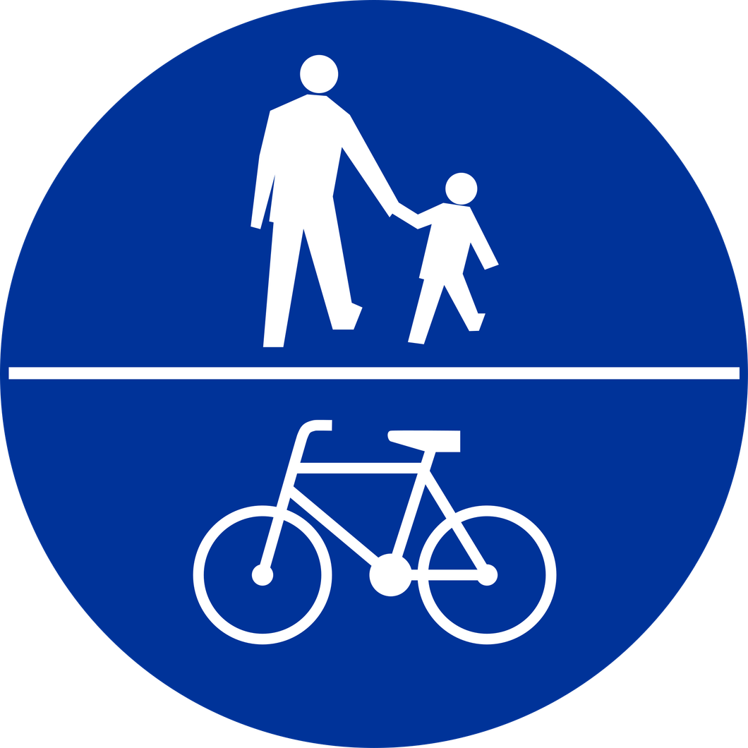 Znak C-13/C16 z podziałem poziomym – droga dla pieszych i rowerów