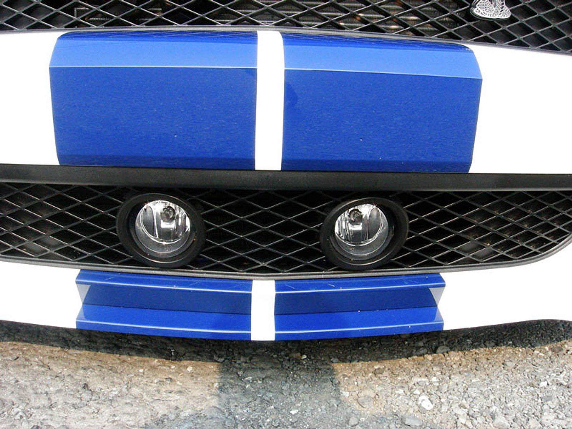 StangNet Mustang GT500: wściekła zebra