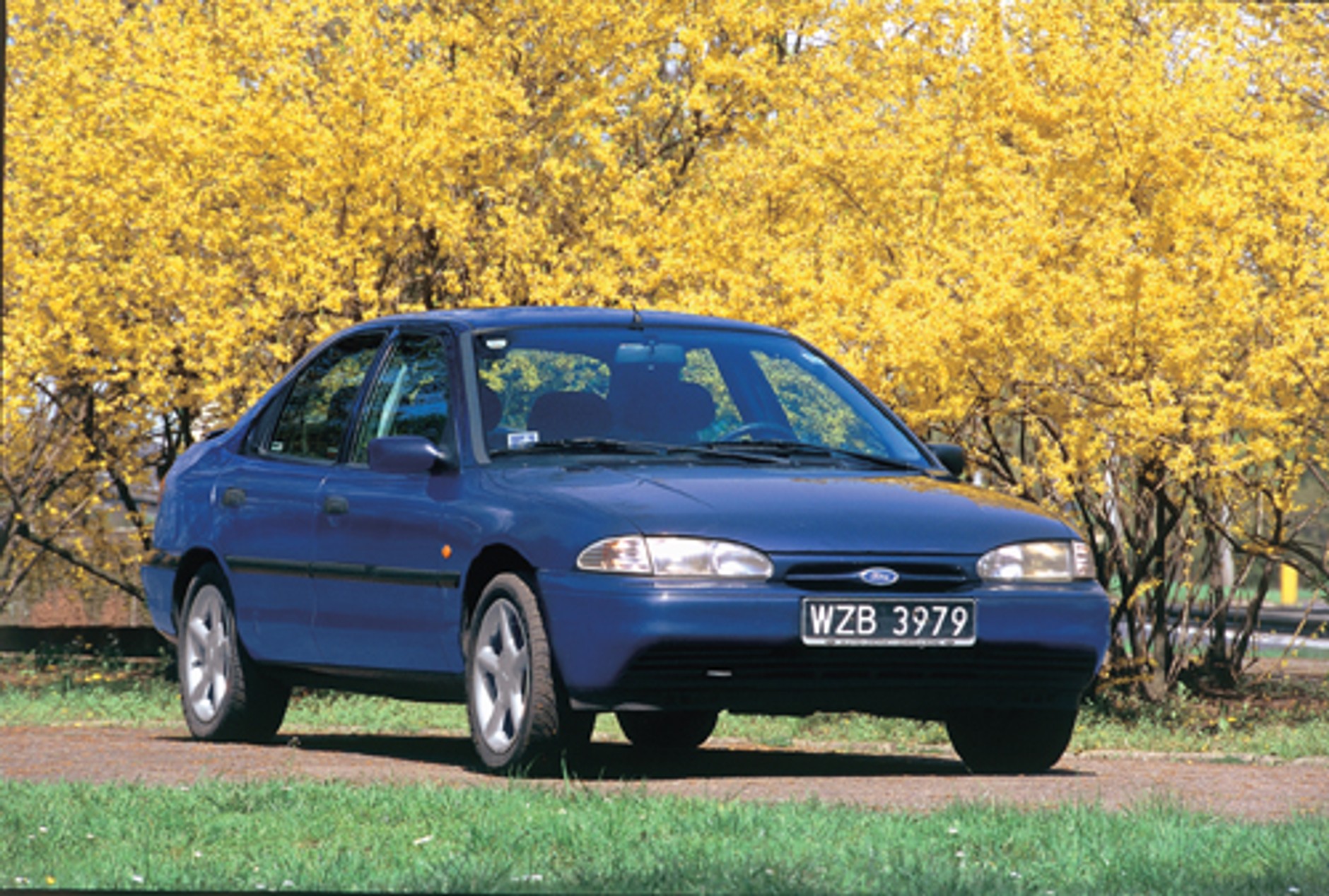 Propozycje dla każdego